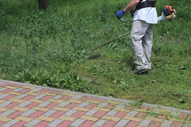 The worker mows the grass with a trimmer