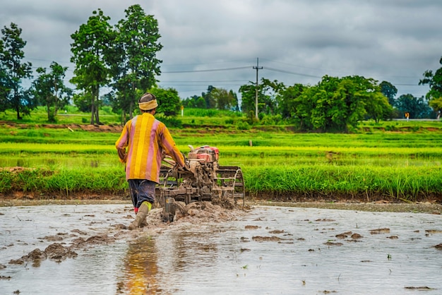 Worker plowing in rice field prepare plant rice