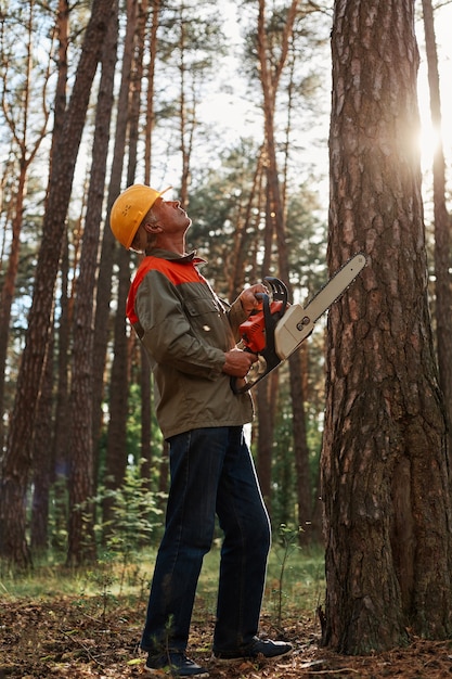 Worker in protective helmet and jacket with chainsaw looking up at high tree