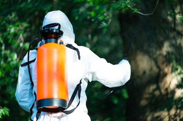 Worker spraying pesticide onto green lawn outdoors closeup pest control