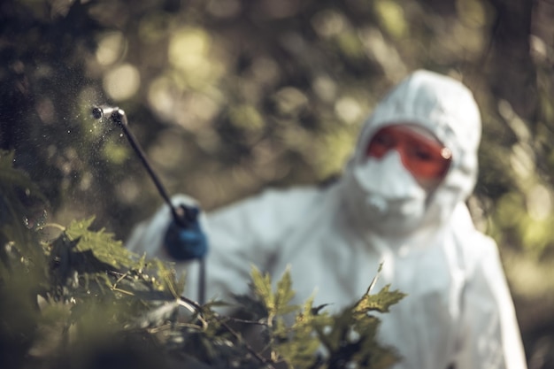 A worker sprays pesticides on trees outdoors closeup Pest control