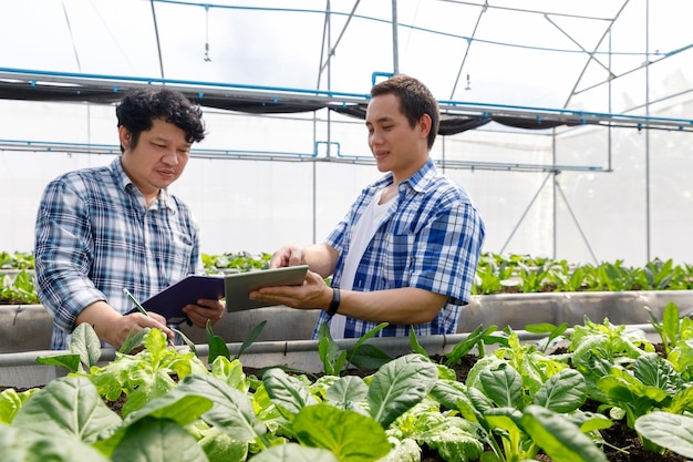 写真 温室農場の庭で有機野菜から環境データをテストして収集する労働者