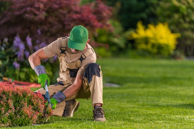 Worker Trimming Bushes In Residential Garden