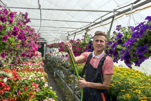 販売のための温室で育てられた花に水をまく労働者