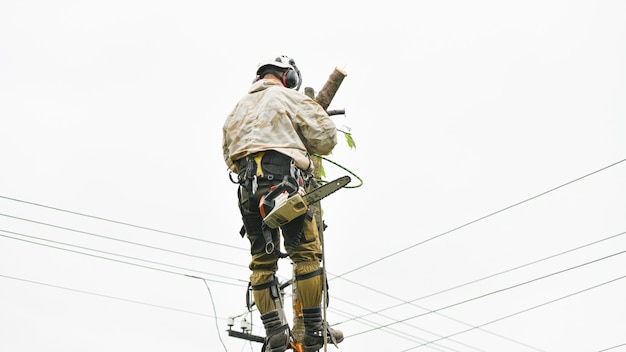 Un lavoratore con un casco lavora ad un'altezza tra gli alberi. scalatore su un muro bianco. l'uomo arboricoltore taglia i rami con una motosega e la getta a terra. lumberjack lavora con una motosega.