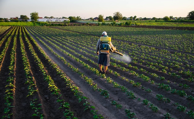 A worker with a sprayer works in the field use of chemicals for\
protection of cultivated plants from insects and fungal infections\
agriculture and agro industry farm work pesticides and\
fungicides