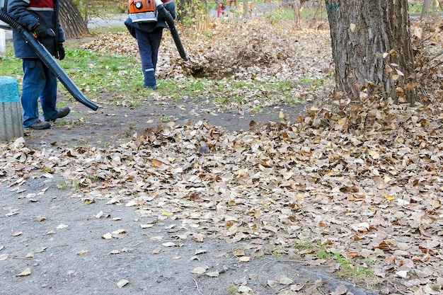 사진 공사 회사 의 노동자 들 은 공원 골목 에서 떨어진 잎 을 제거 하기 위해 잎 기기 를 사용 한다