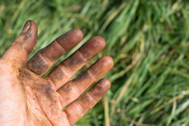 Photo workers hands picking nuts colored by the peel