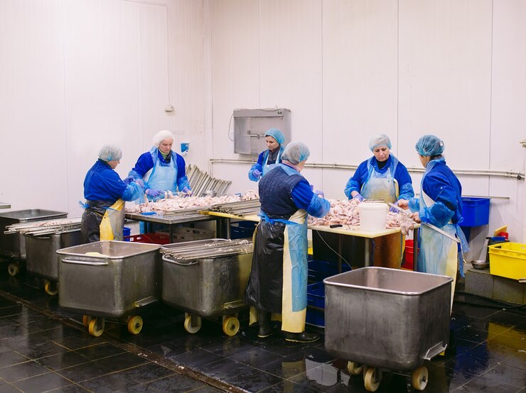 Photo workers working in a chicken meat plant.