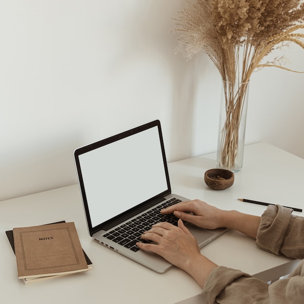 Working at home concept. Girl working on laptop. Aesthetic minimalist workspace background.