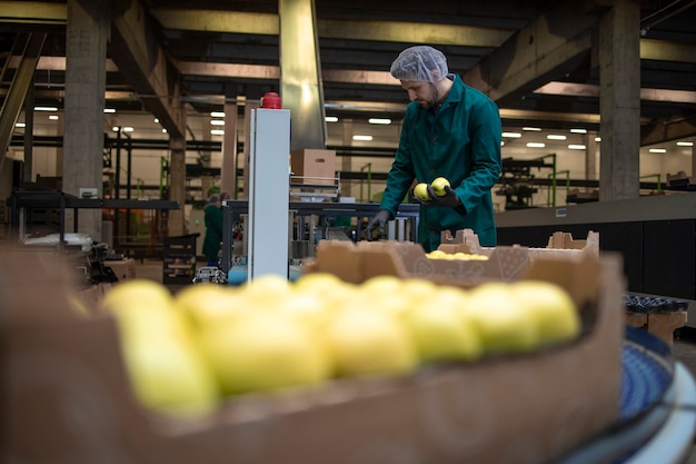 Foto lavorando nella fabbrica di alimenti biologici che smistano mele verdi e trasportano il nastro trasportatore alla cella frigorifera.