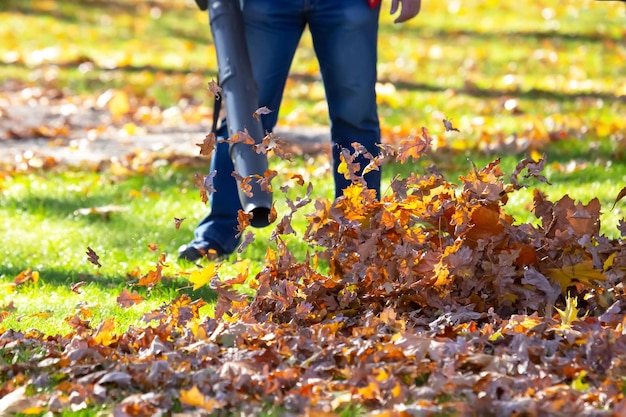 Working in the Park removes leaves with a blower Park cleaning service Removing fallen leaves in autumn