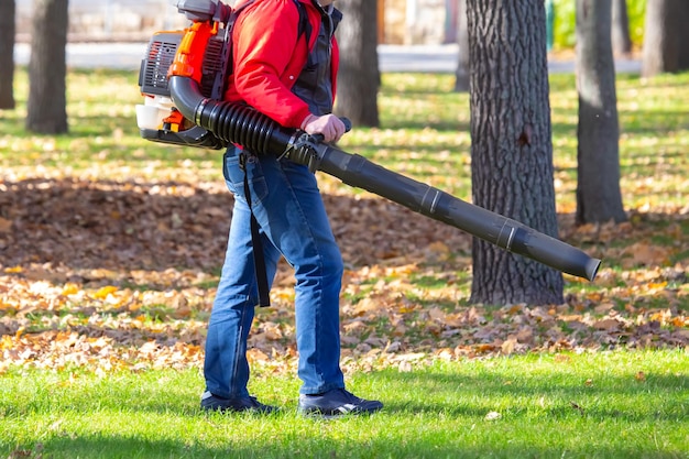Working in the Park removes leaves with a blower Park cleaning service Removing fallen leaves in autumn