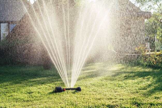 Working portable lawn watering machine. Water jets for irrigation of plants or lawn in sun rays