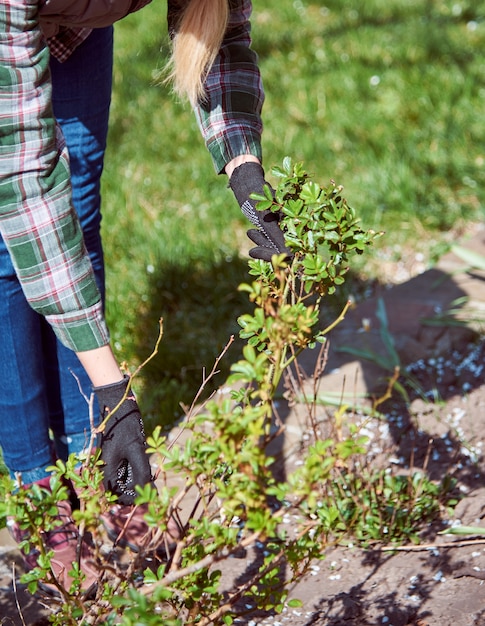 Working in the spring garden