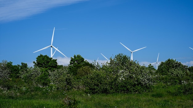 Working wind farms in clear weather behind the trees