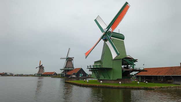 Photo working windmills at zaanse schans netherlands with musuems and cheese making and farms to visit