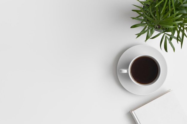 Workspace accessories cup of a coffee and a palm on a white
table flat lay with blank copy space