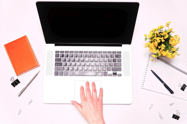 Workspace with woman hand working on laptop keyboard, and yellow flowers on the white background. Flat lay, top view