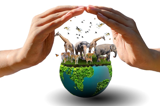 Всемирный день животных Всемирный день дикой природы Группы диких зверей собрали в руках людей