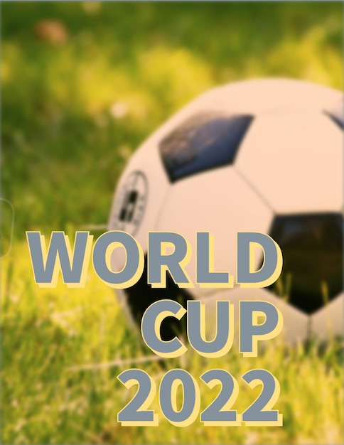 Photo world cup soccer in emirates 2023