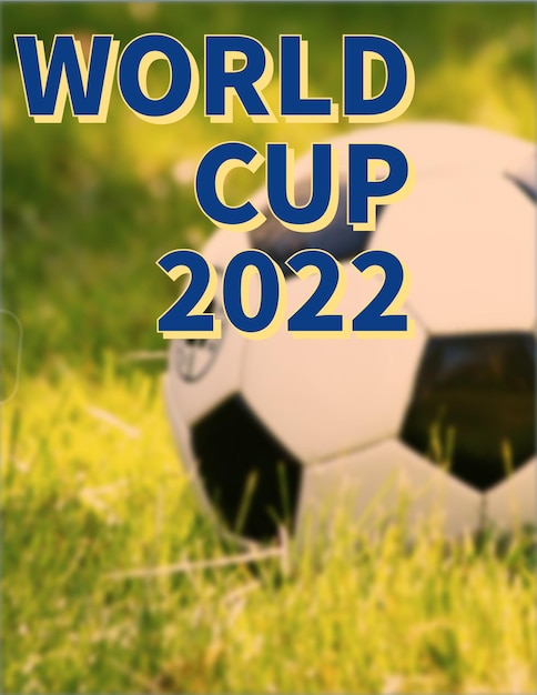 Photo world cup soccer in emirates 2023