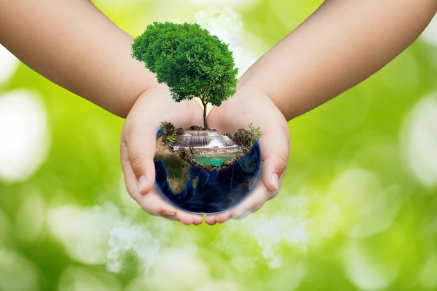 Foto concetto di giornata mondiale dell'ambiente, giornata della terra, terra e albero sulle mani
