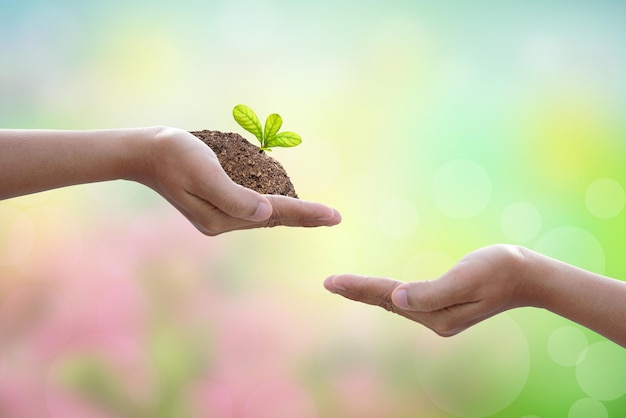 World Environment Day Human hands hold small plants to each other to conserve the environment