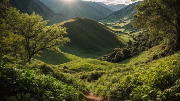 写真 世界環境デー 自然保護の重要性 環境の概念 世界地球デー