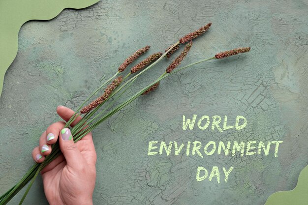 World Environment Day on June 5. Hand holding wild plantain, goose grass flowers on abstract grunge green background with wood and abstract paper shapes. Flat lay, top view, natural background.