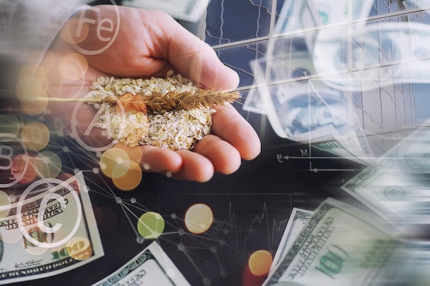 Crisi mondiale del grano doppia esposizione una manciata di cereali e banconote da 100 dollari su sfondo blu