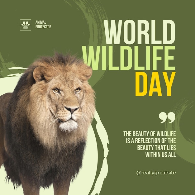 world habitat day