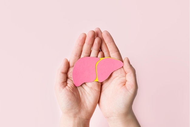 World hepatitis day Adult hands holding donation liver on pink background