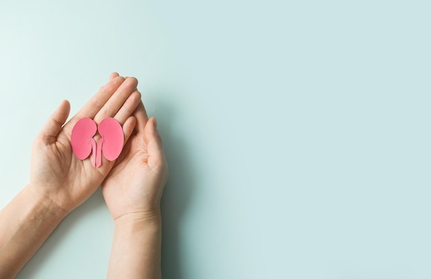 World kidney day Woman holding kidney shaped paper on blue background National Organ Donor Day