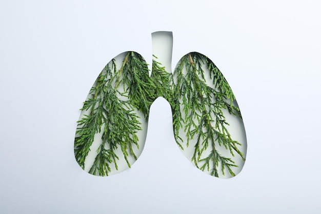 World lung day or lung healthy concept on white background