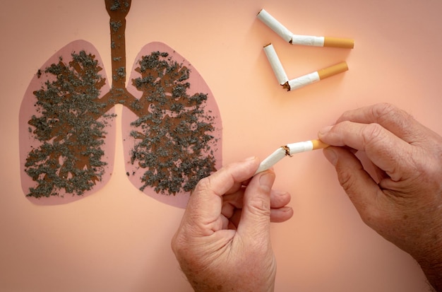 World no tobacco day man holding broken cigarettes in hand on\
unhealthy lungs drawing he quit smoking message cigarette nicotine\
damage smokedamaged lungs