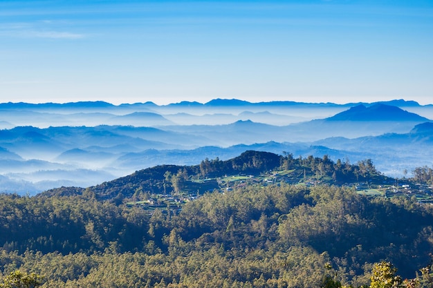 World's End aerial panoramic view on sunrise. Worlds End is located in Horton Plains National Park of Nuwara Eliya, Sri Lanka.