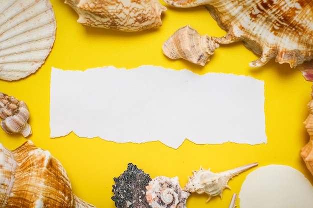 World tourism day incription over yellow background, with palm leaves, clam shell, and shoes flat lay background