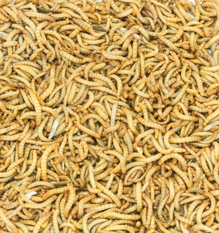 Worm achtergrond