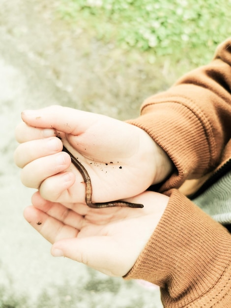 Worm in de hand van de mens