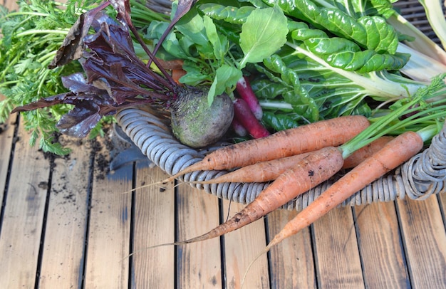 Wortelen en andere biologische groenten in een mand vers geoogst uit de tuin op een houten tafel