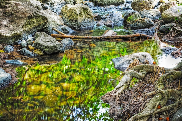 Wortels en rotsen in triulintas-waterval sardinië