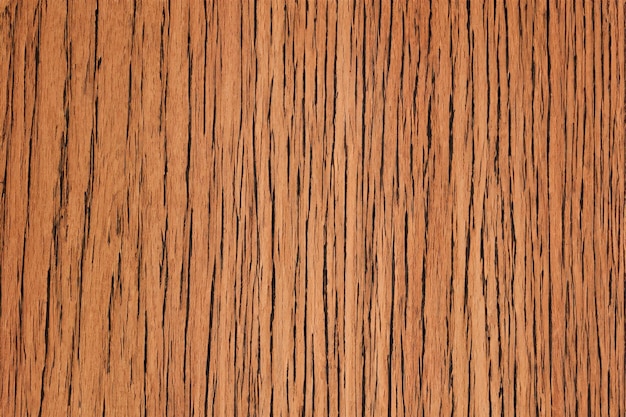 Woudtextuur achtergrond
