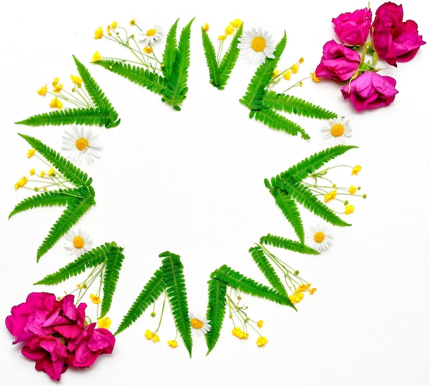 Wreath of chamomile, ranunculus and leaves of green fern on white background. And Pink tea roses. Flat lay.