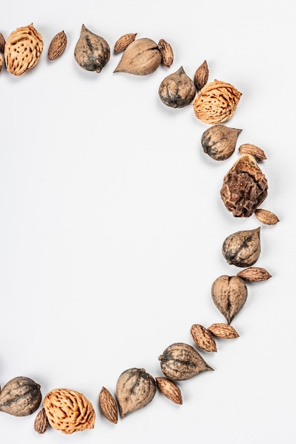 Венок или рамка из Juglans cordiformis Maxim или грецкого ореха в форме сердца, изолированные на белом фоне. Целые орехи, семена персика и маслин, плоская планировка, макет, шаблон