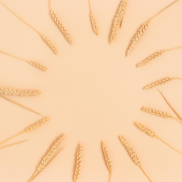 Wreath made of wheat spikelets on a beige background