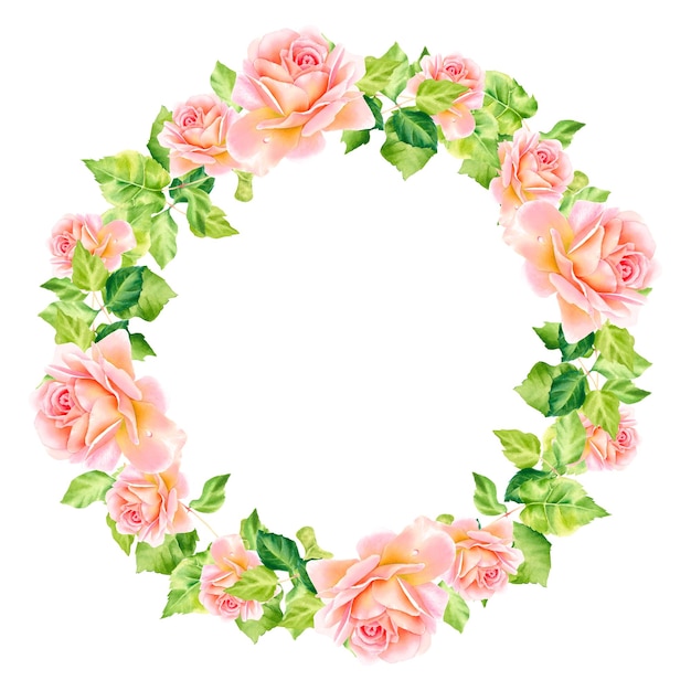 A wreath of pink roses Watercolor illustration Delicate roses Rose garden Botanical illustration