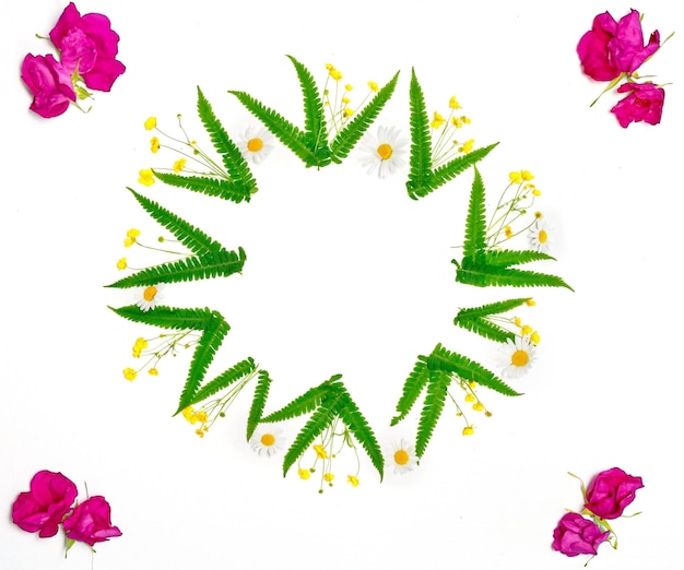 Photo wreath of ranunculus, chamomile and leaves of green fern on white background. pink tea roses. flat lay.