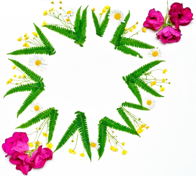 Wreath of ranunculus, chamomile and leaves of green fern on white background. Pink tea roses. Flat lay