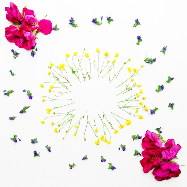ラナンキュラスの花輪、ピンクのお茶のバラ、白い背景に紫色の野の花。フラットレイ。